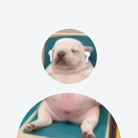 花少北、