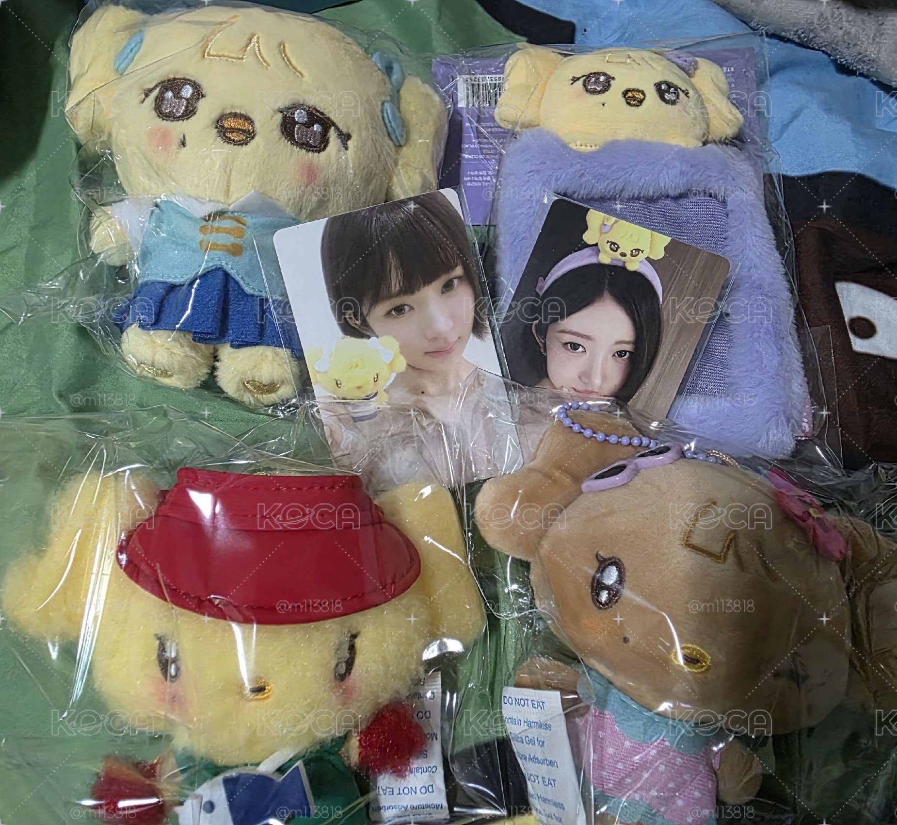 REI 快閃店小娃+卡套+兩張滿額卡