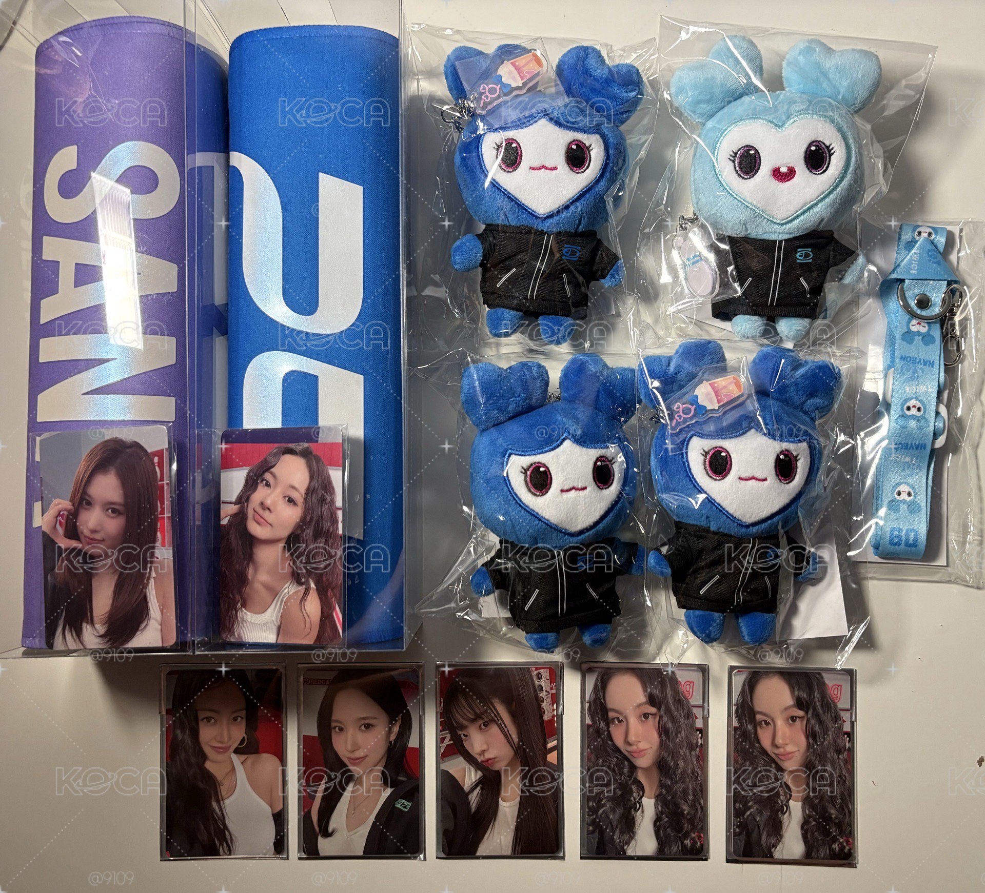 Twice🍭 新國立周邊