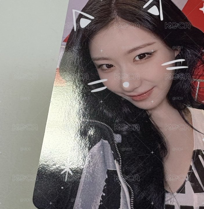 Itzy🐱 日周娃娃/滿額卡