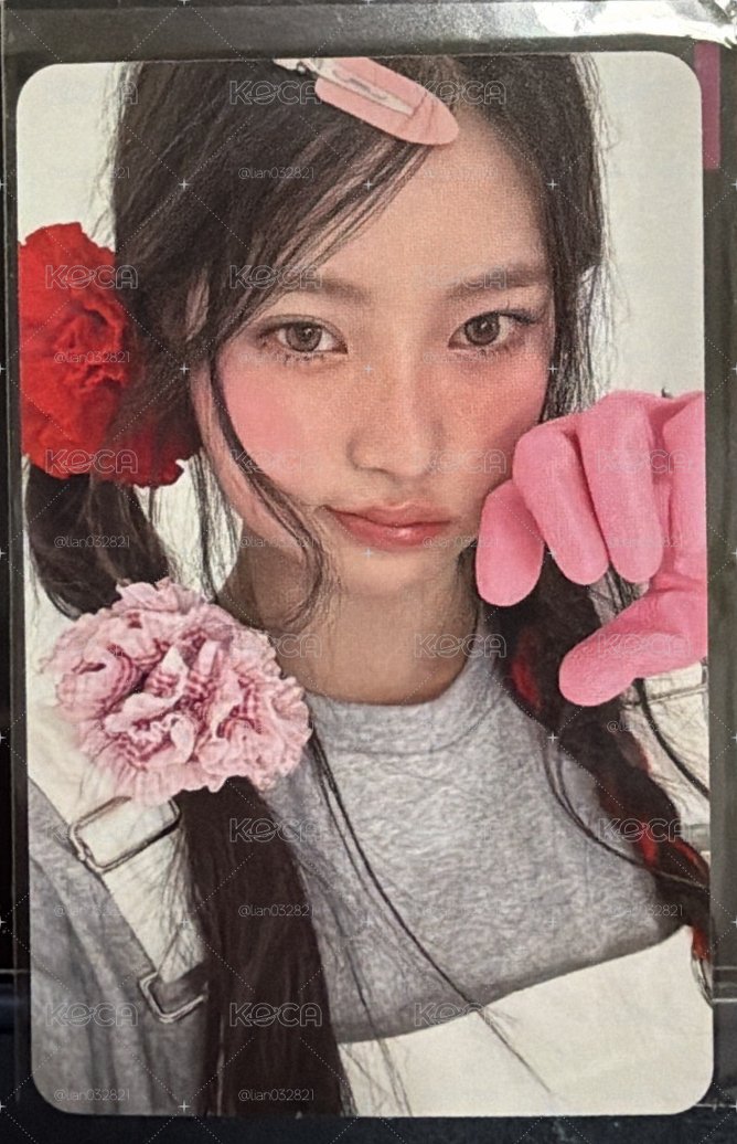 HAUM UNCUT am預售特典卡
