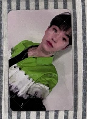迷七 簽售卡