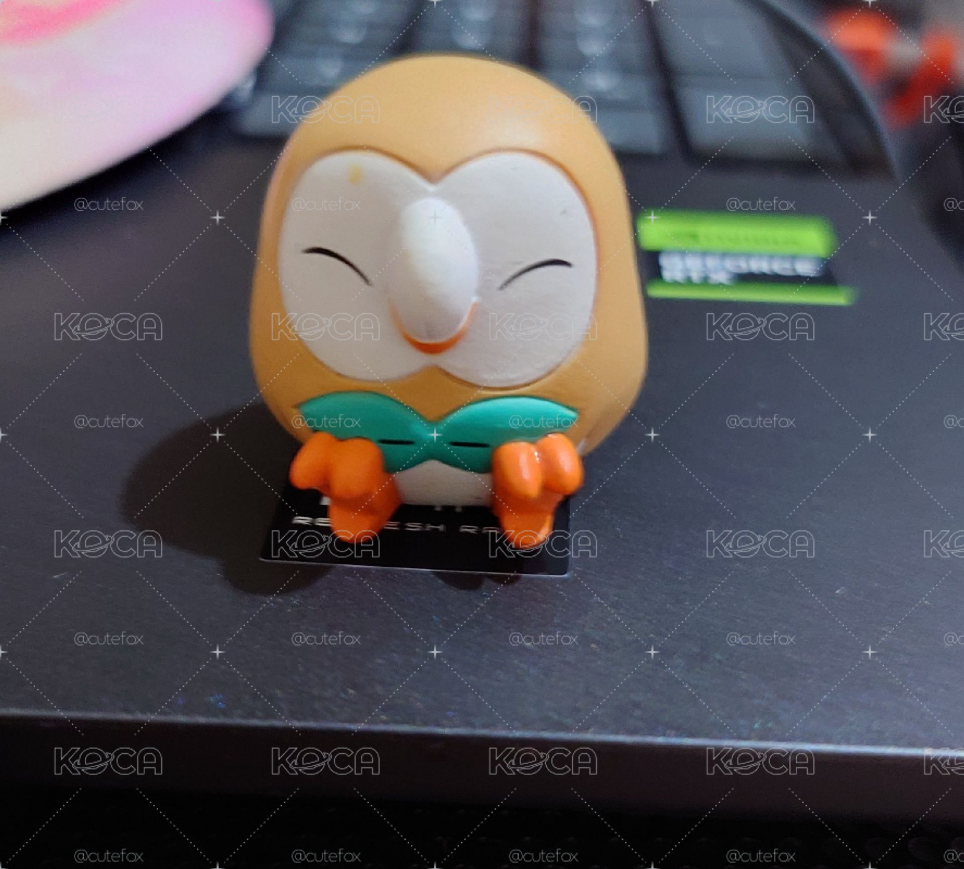 （狐狸個人賣場）寶可夢 Pokémon 木木梟