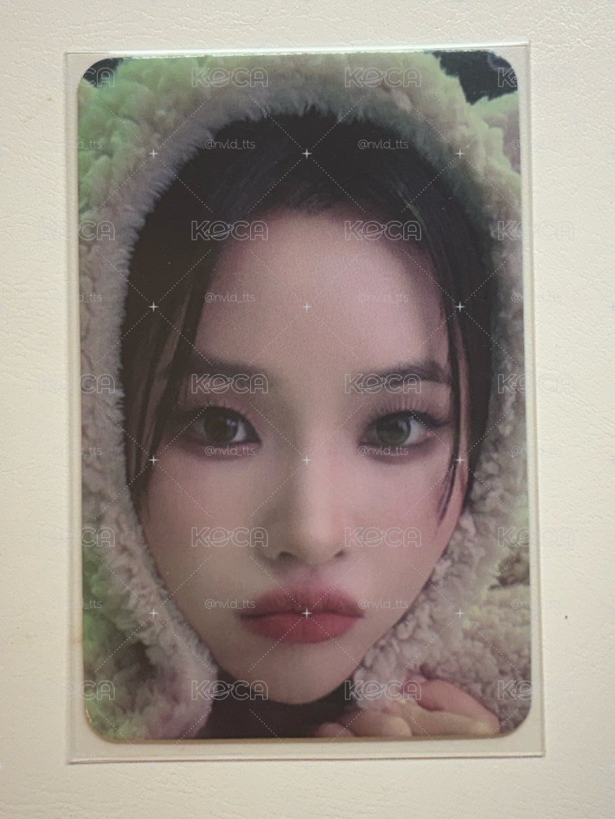 娟小熊毛毯