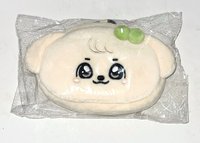 安化妝包（全新 僅拆檢）