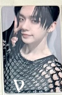 漁網竣直出