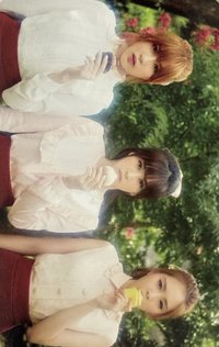 迷五 收藏卡 周邊卡 Set A