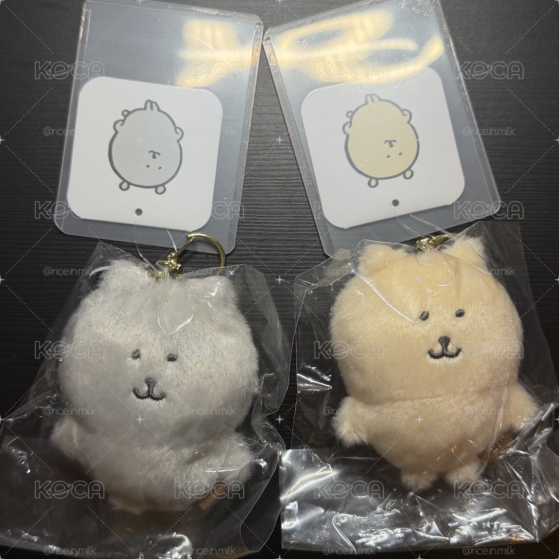 韓國限定熊