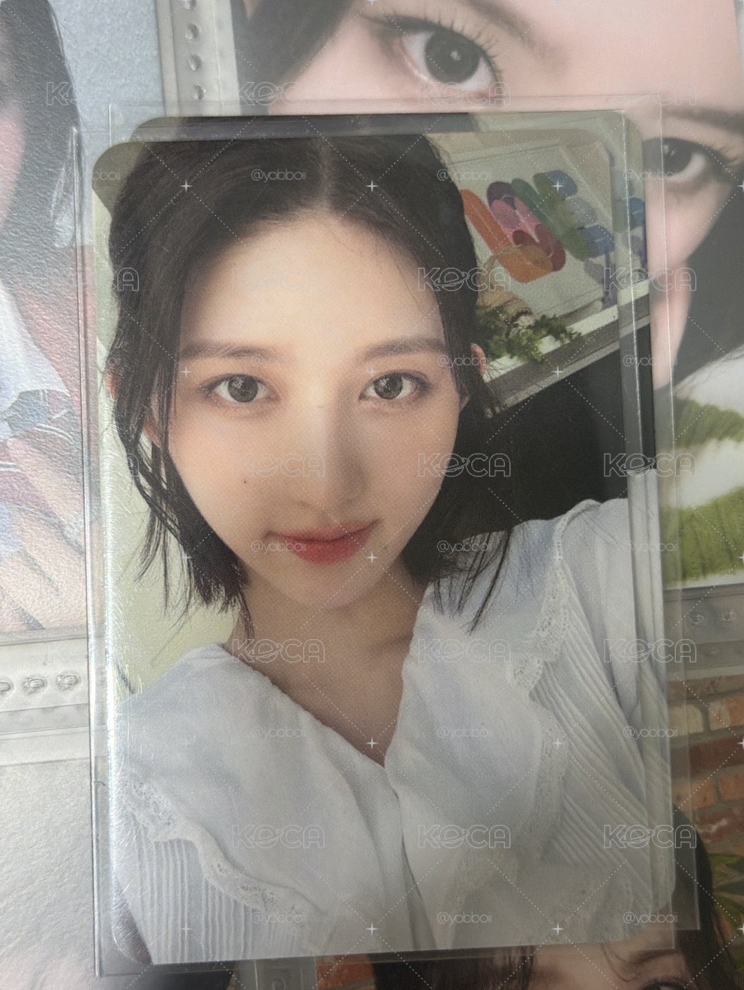 美美秋