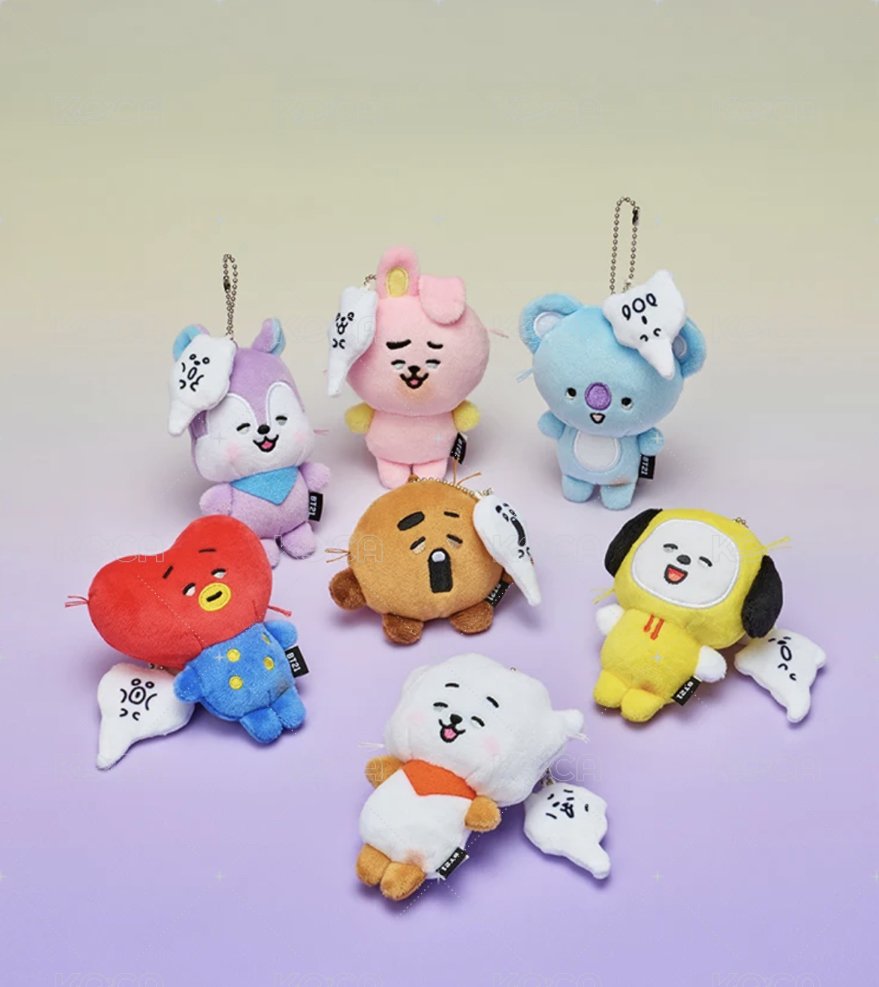 cooky(小灰灰)