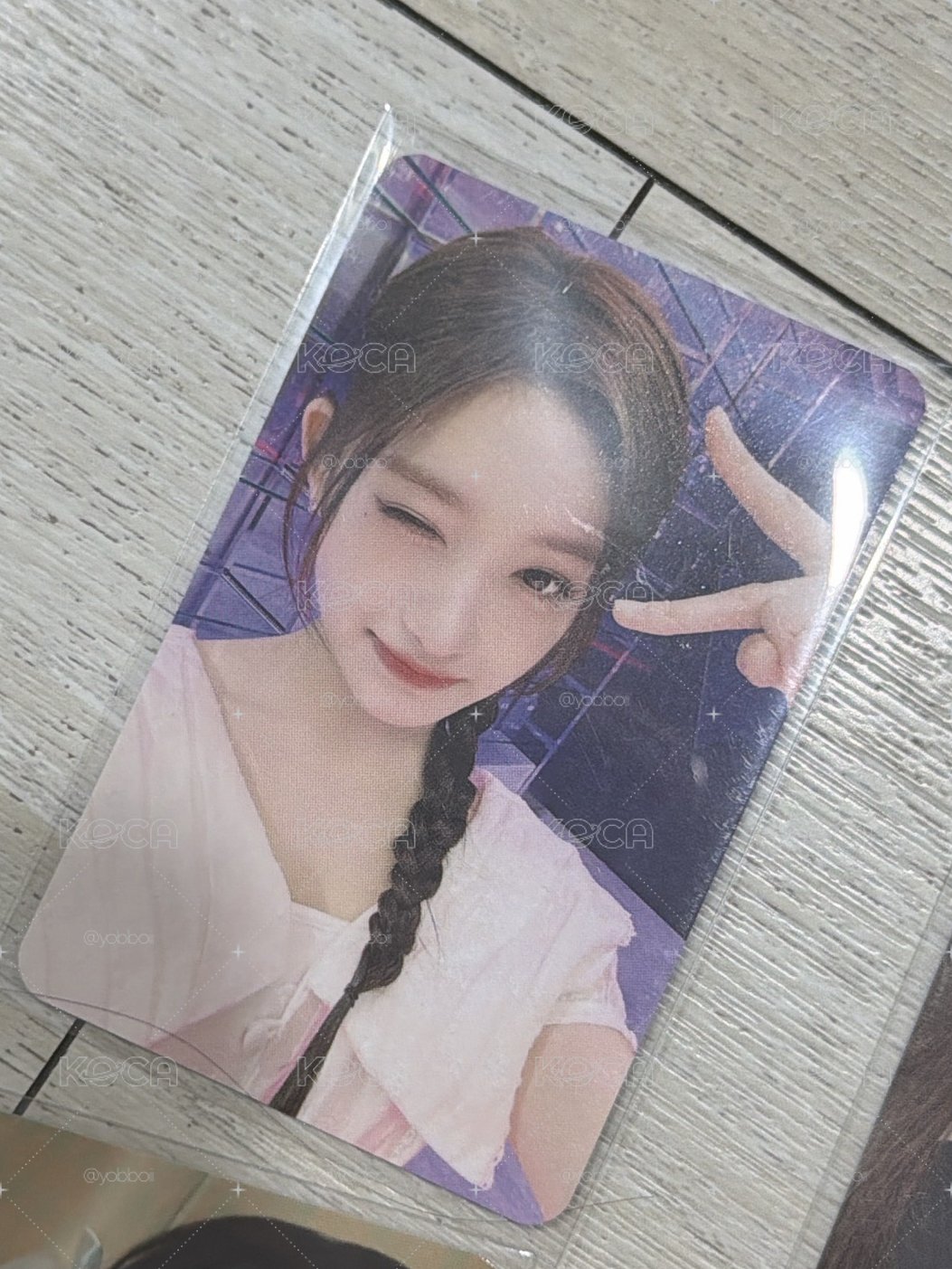 貓耳瑞