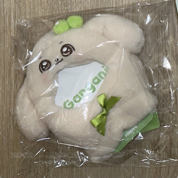 安 手燈套