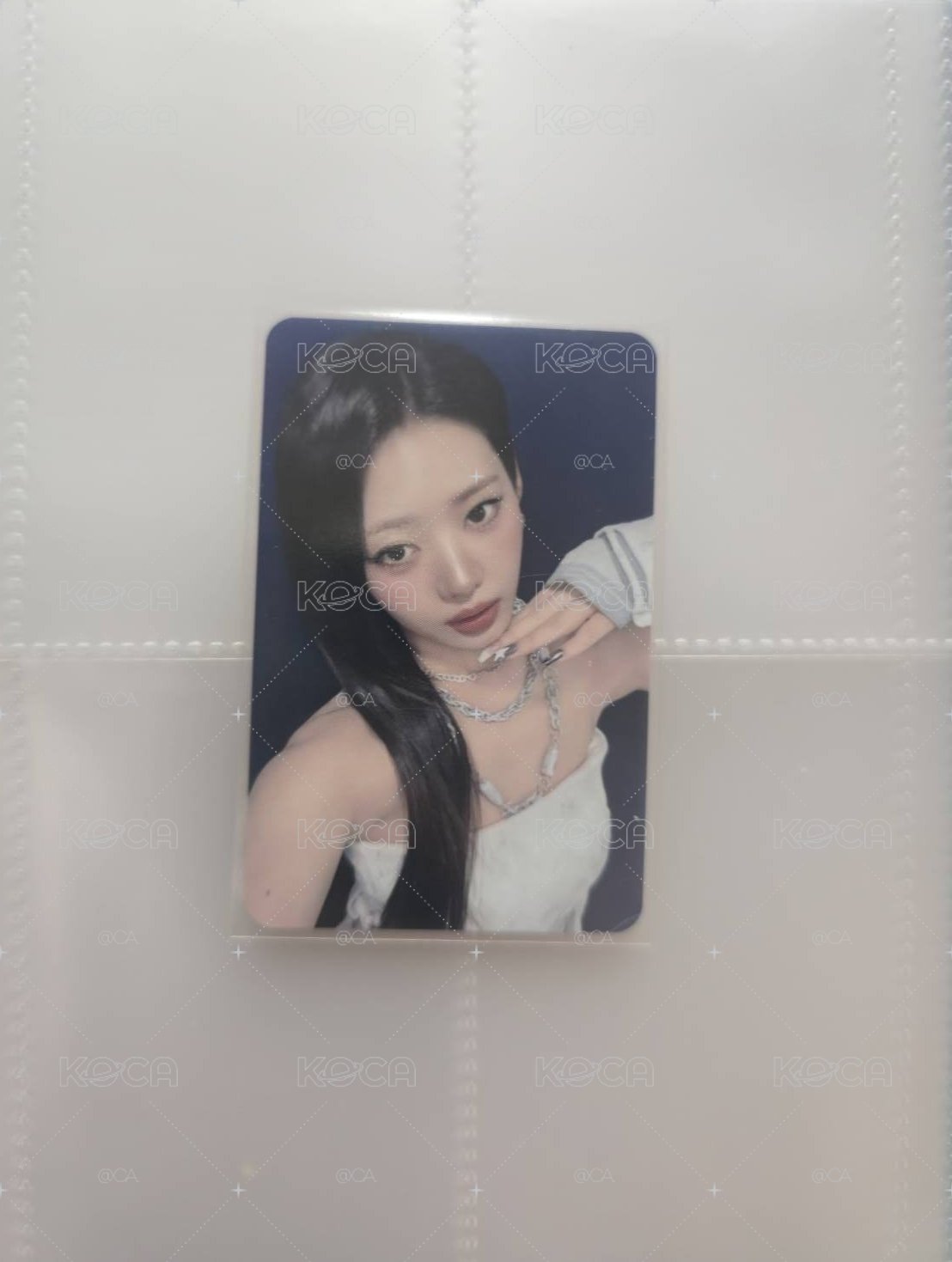 Ms特典茶|現貨
