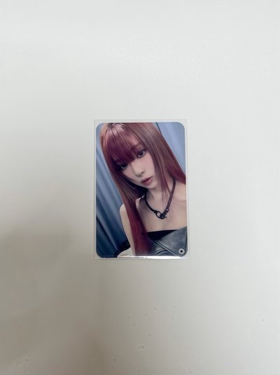冬