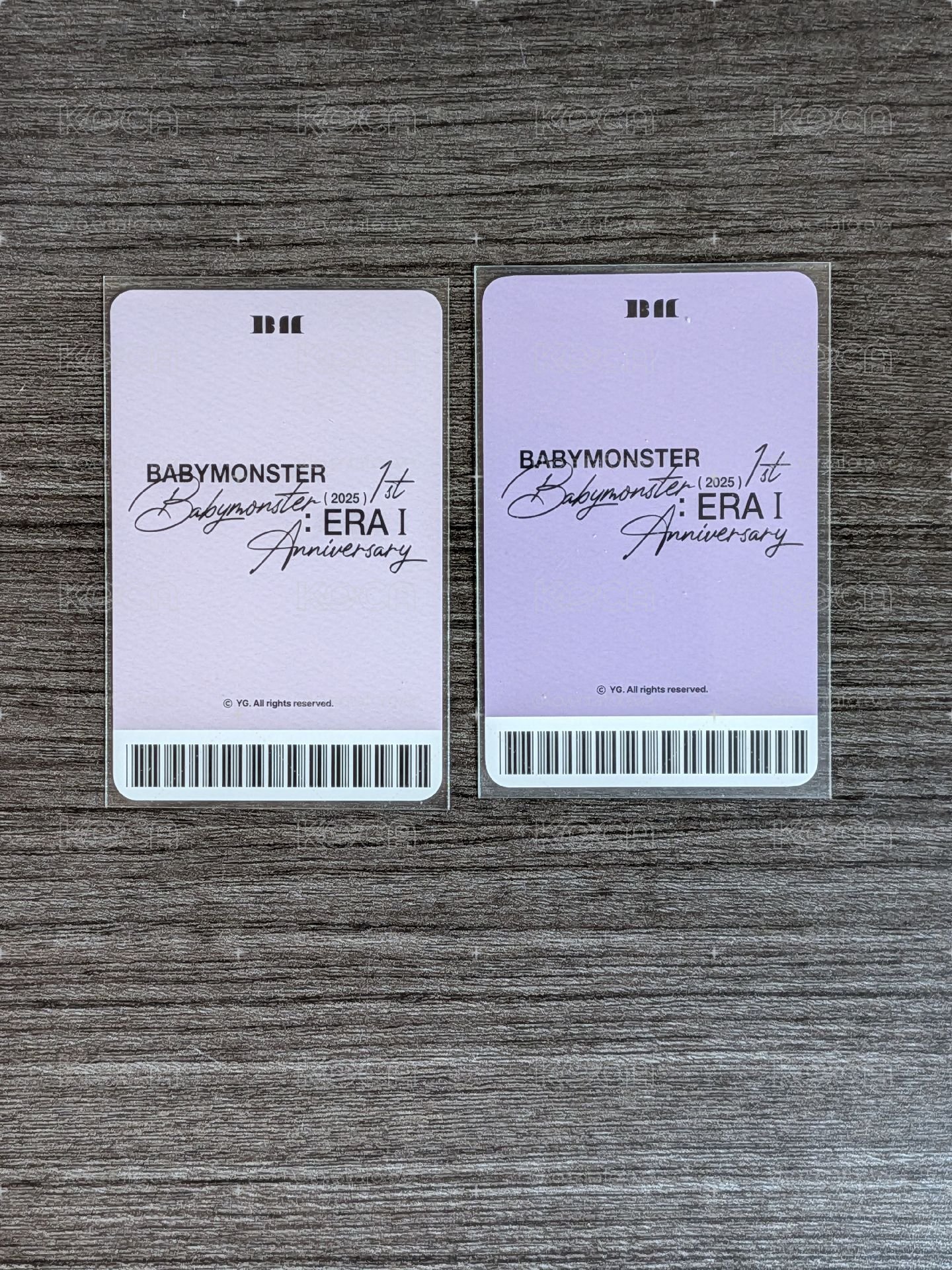 一週年寫真書yg特典