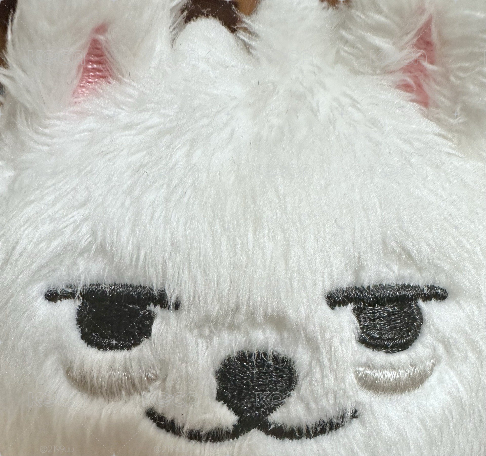 勇猛坐娃  ꒰ ⩌ᴥ⩌ ꒱