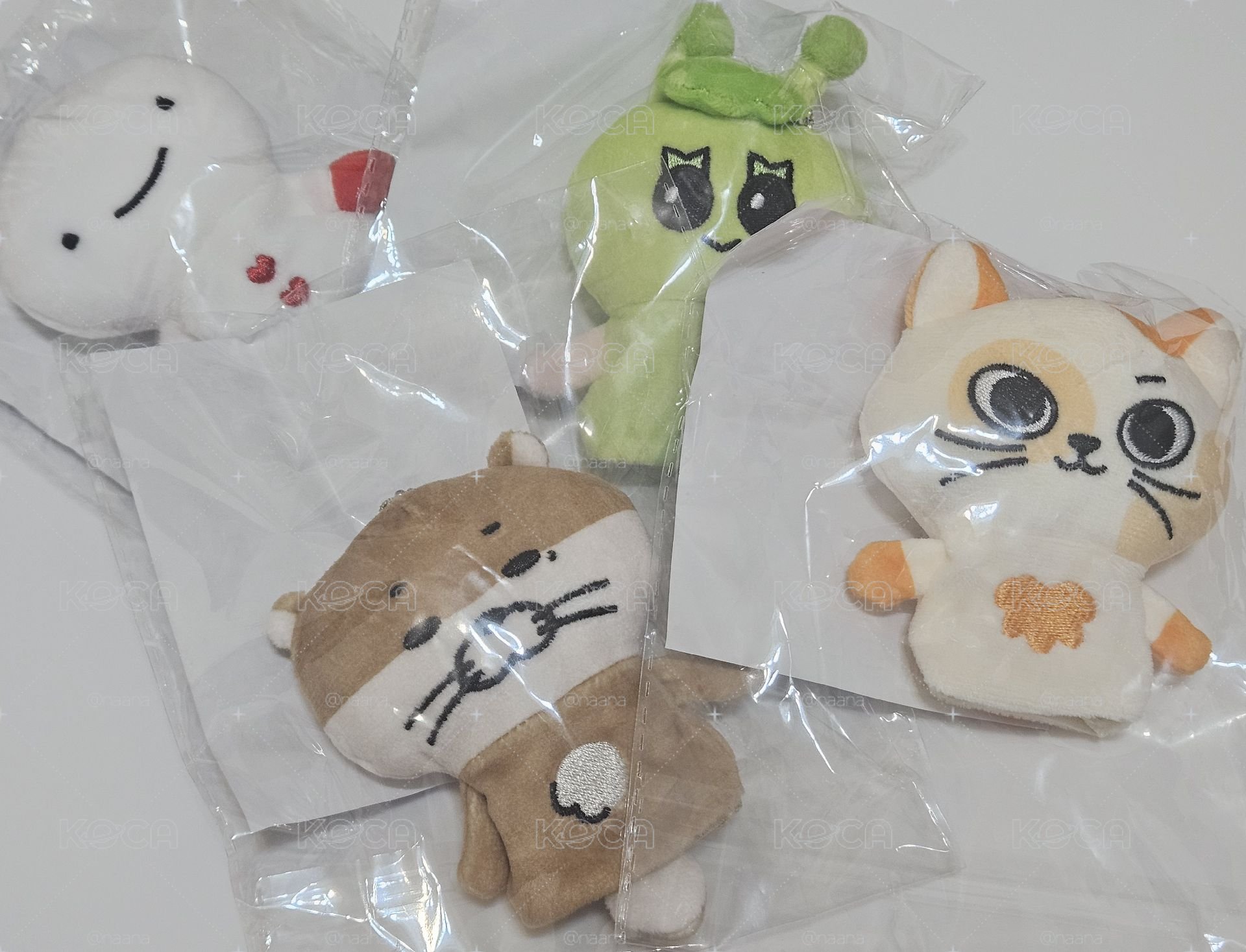 現貨home M號長褲 含整套卡