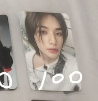 美麗小雪貂