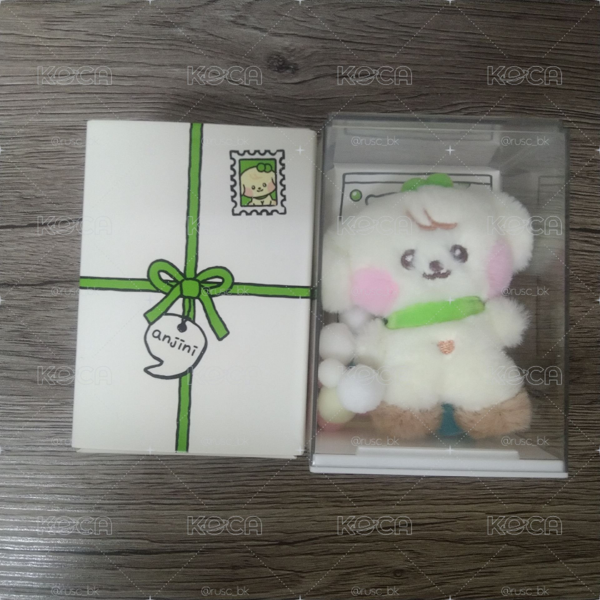 LINE FRIENDS快閃 盒娃 迷你娃-anjini 