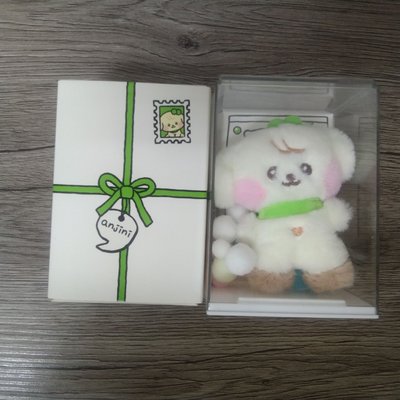 LINE FRIENDS快閃 盒娃 迷你娃-anjini 
