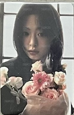 二週年拿花賢