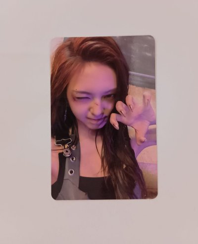 貓抓柒 韓背
