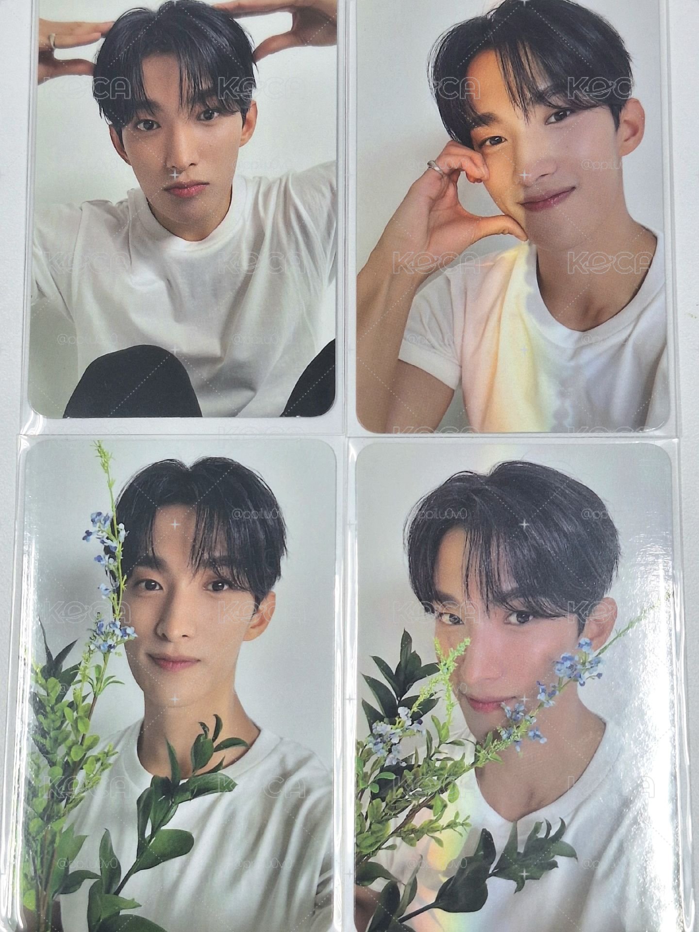 DK 李碩珉 克拉盤四張 含狗狗碩🐶