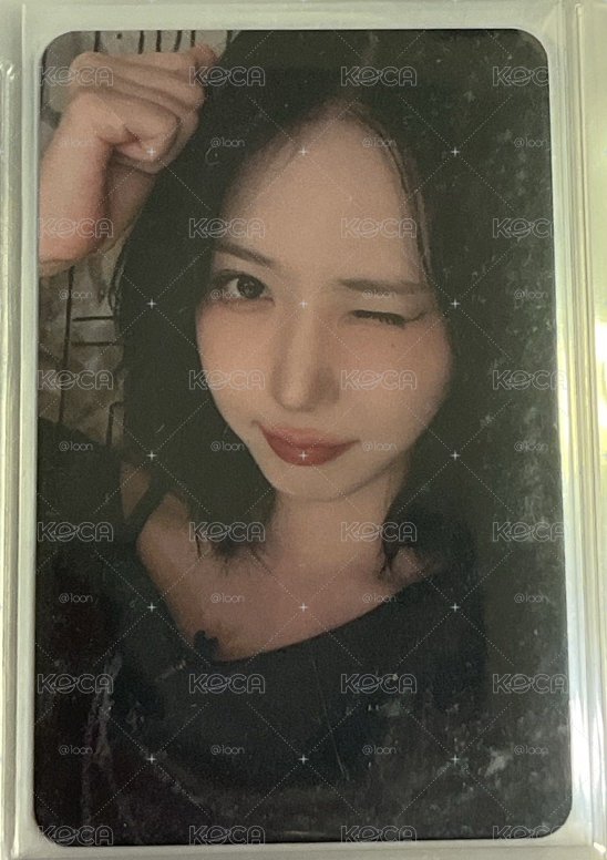 小笨蛋飛