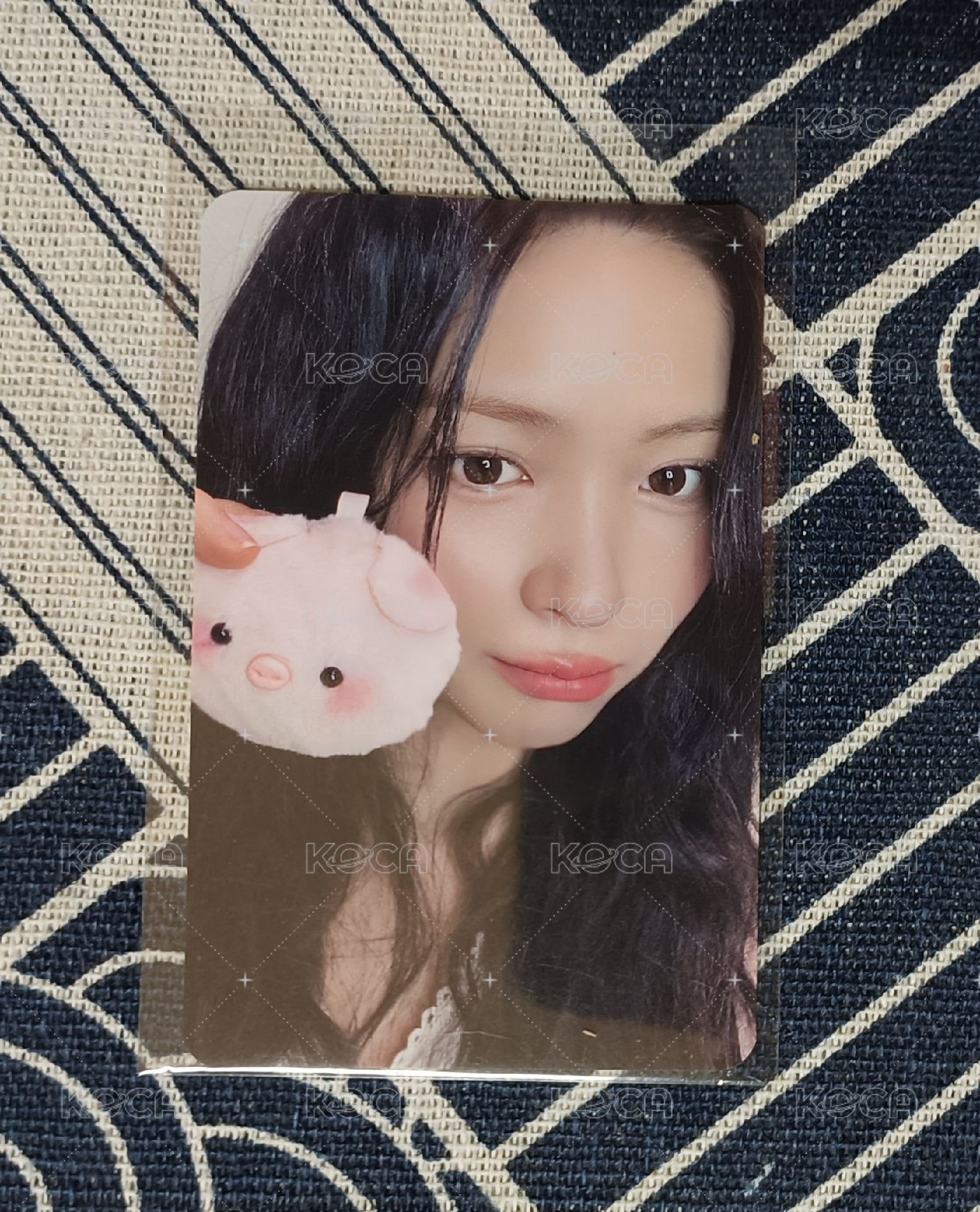 小豬留