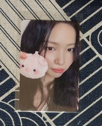 小豬留