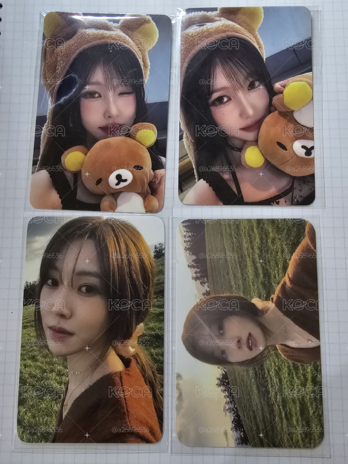 Yuju 拉拉熊 草地盤