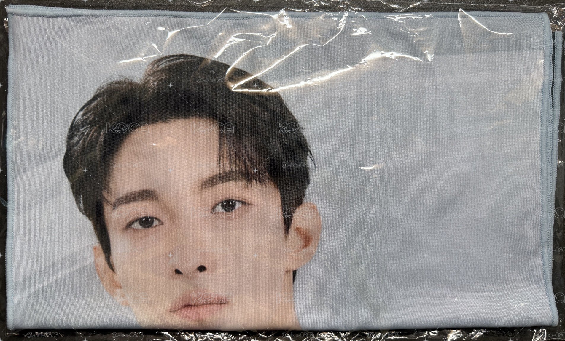 Seventeen 日巡場周 應援手幅 碩珉