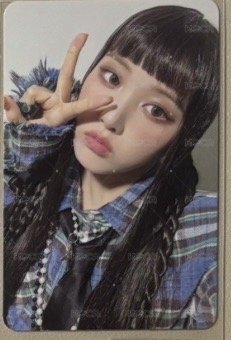 智友專卡2