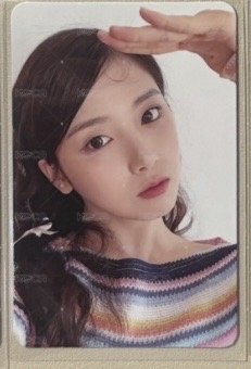 智友專卡1