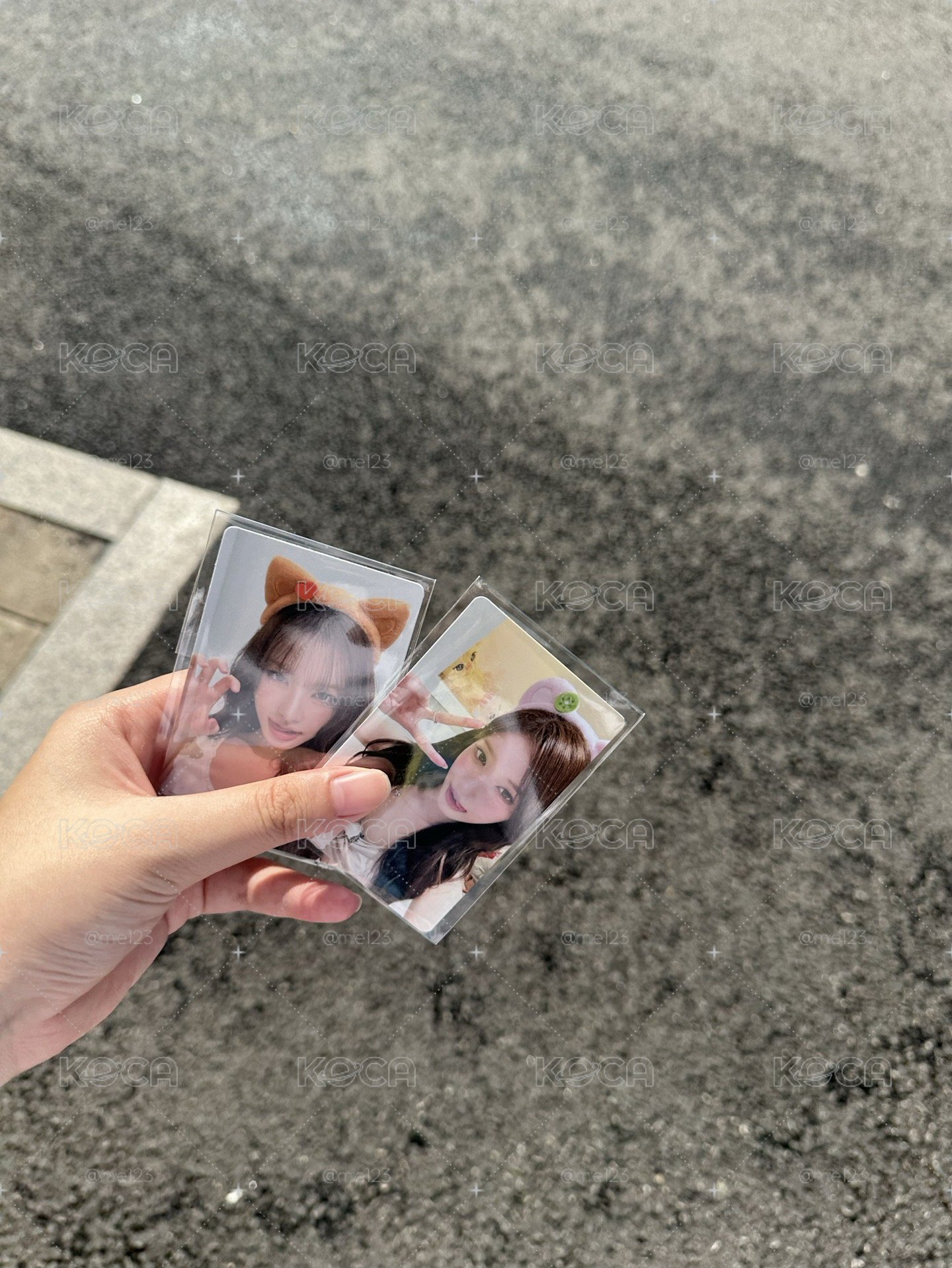 愛寶樂園xIVE滿額