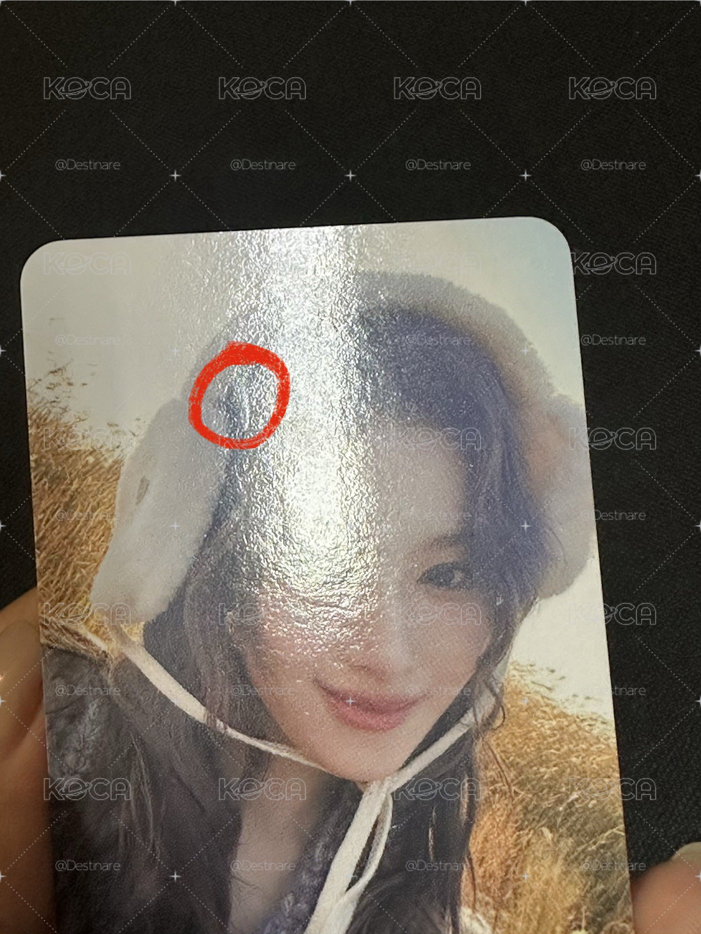 🐹耳罩紗特典