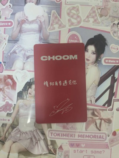 中背紗|現貨