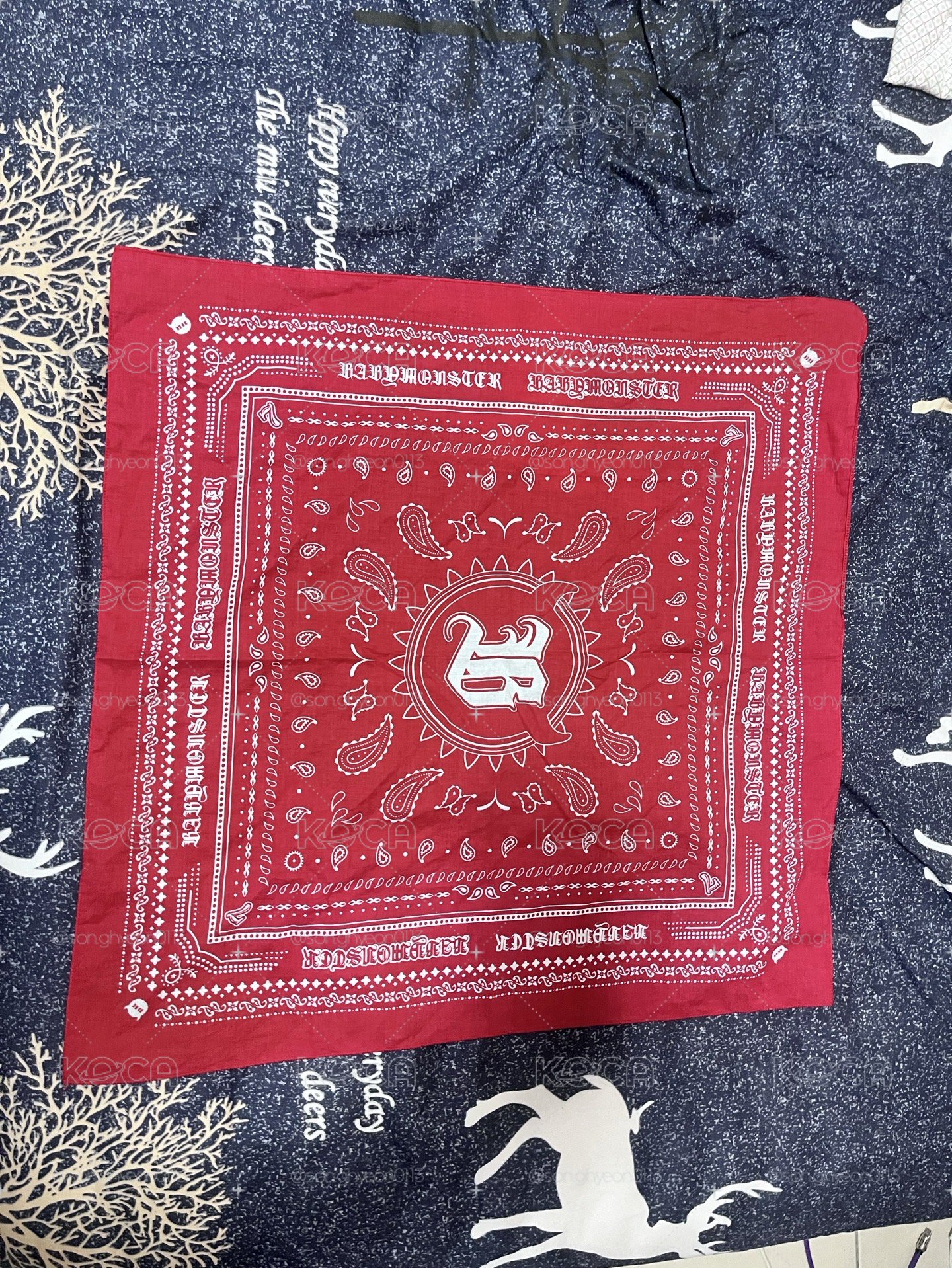 寶怪絲巾