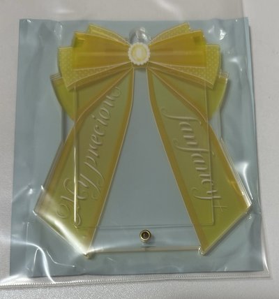 Fukuya相框小卡框台北限定蝴蝶結緞帶