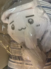 特大娃（僅打開檢查確定有小卡 小卡還在娃娃內）