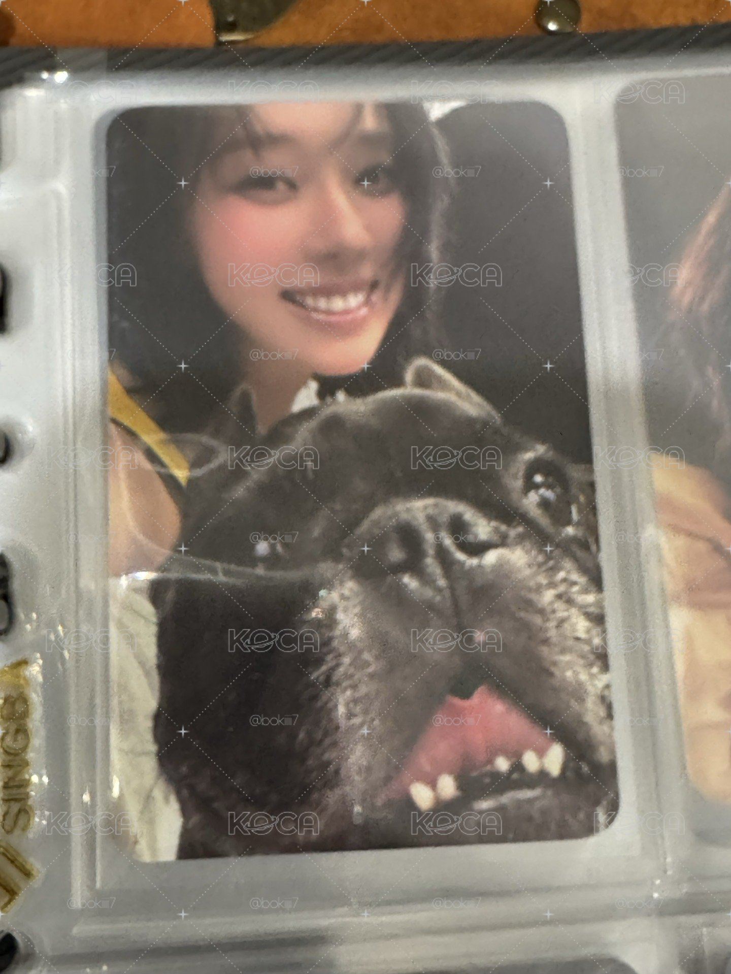 k4預售冬