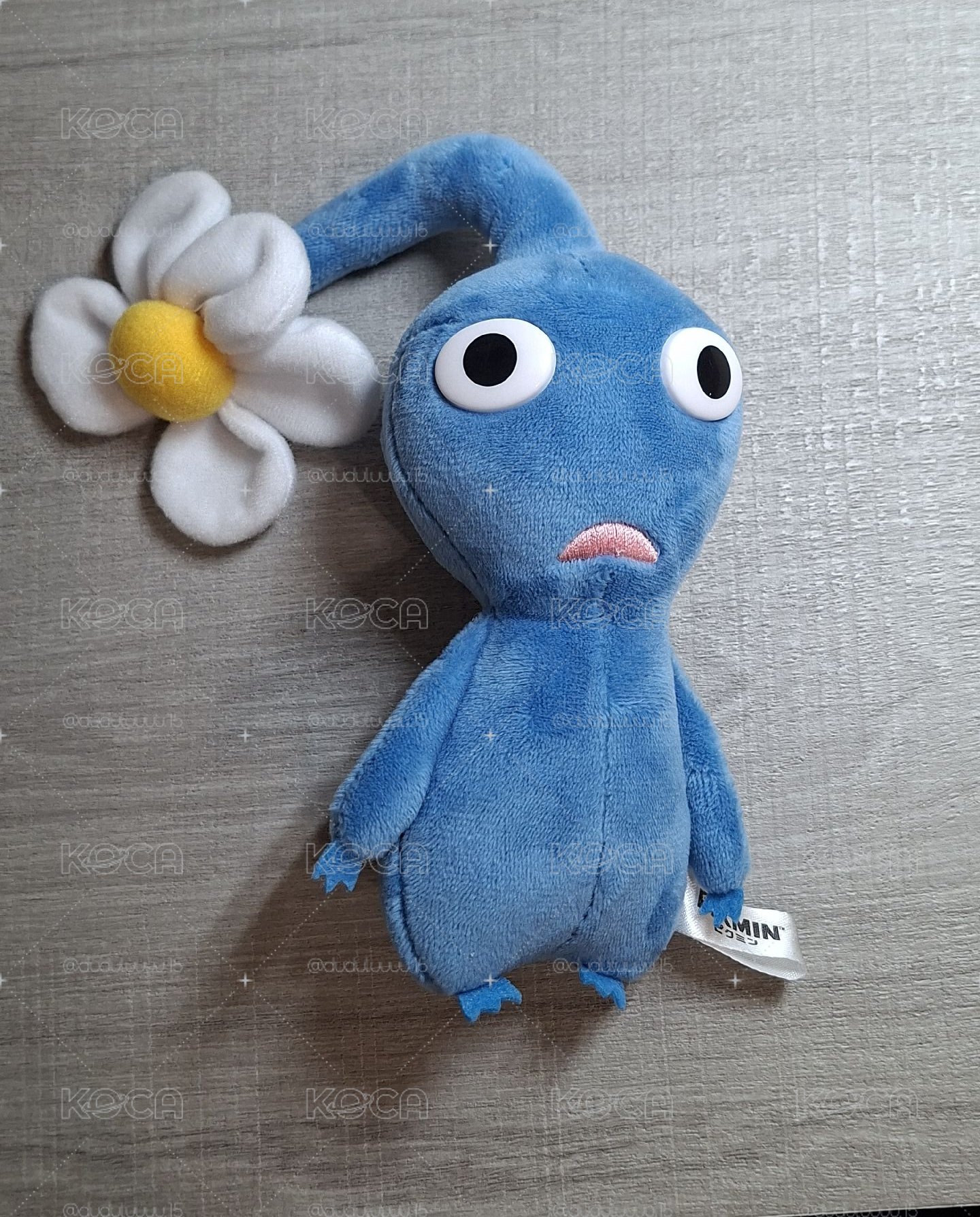 藍皮S娃 無吊牌