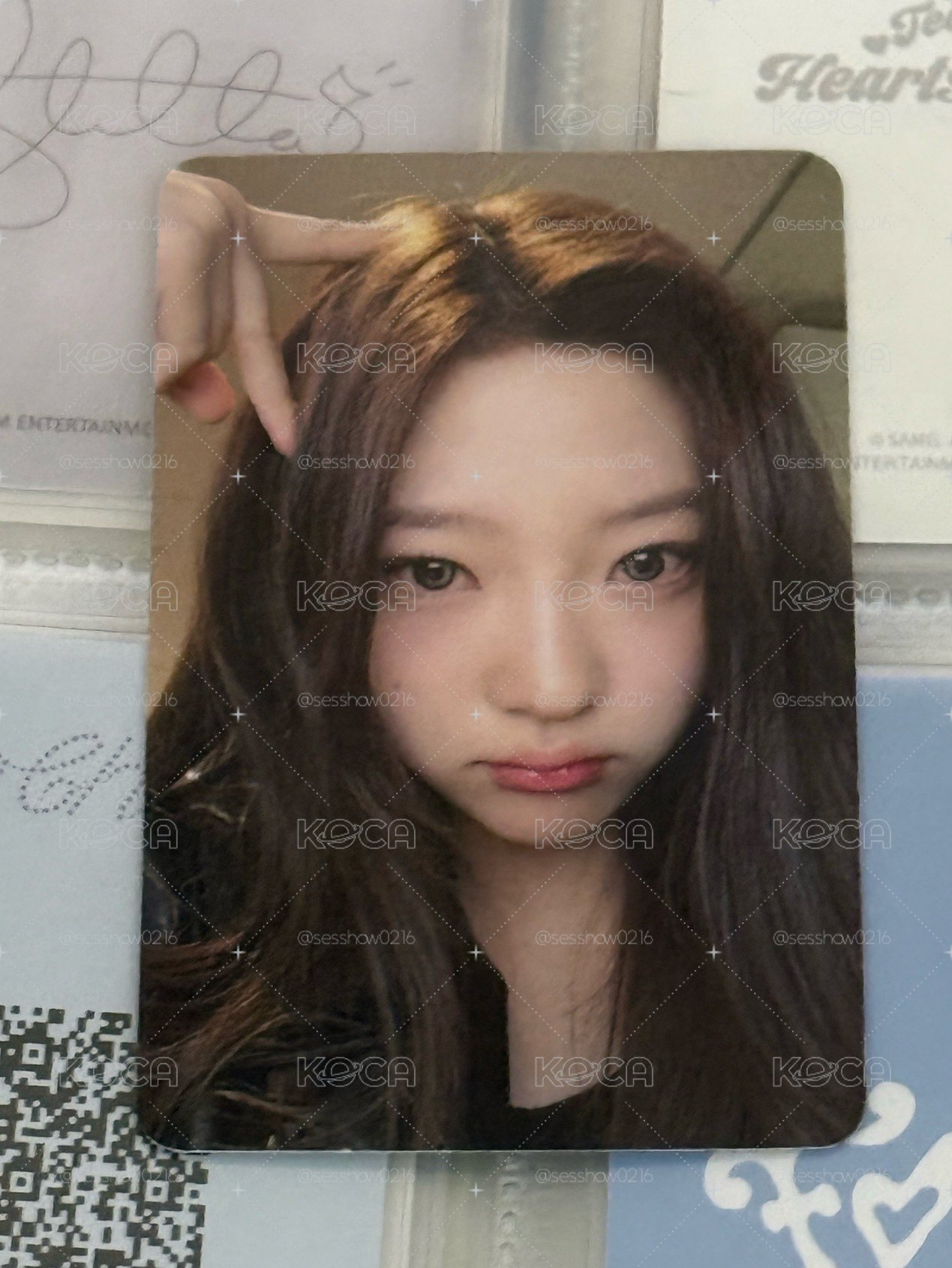 貓耳 Stella