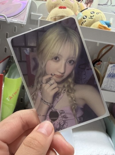 韓背藍