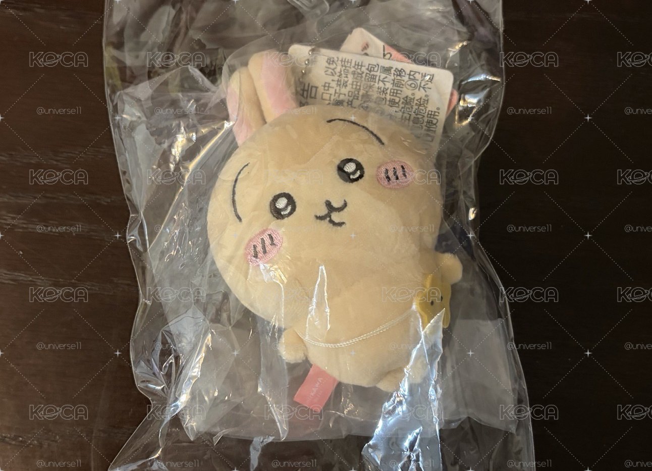 出遊兔