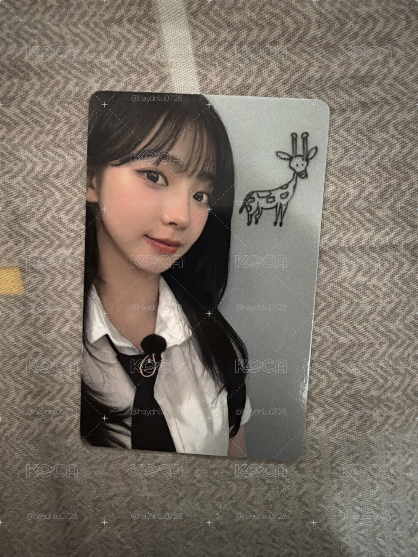 現貨當日出貨/Rich Man ma 幸運卡 柚