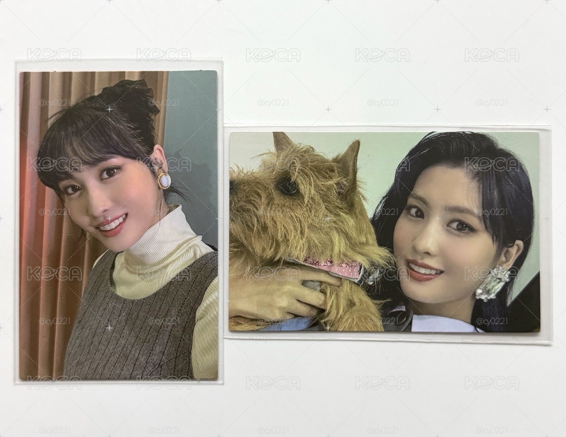 桃卡2 小狗桃