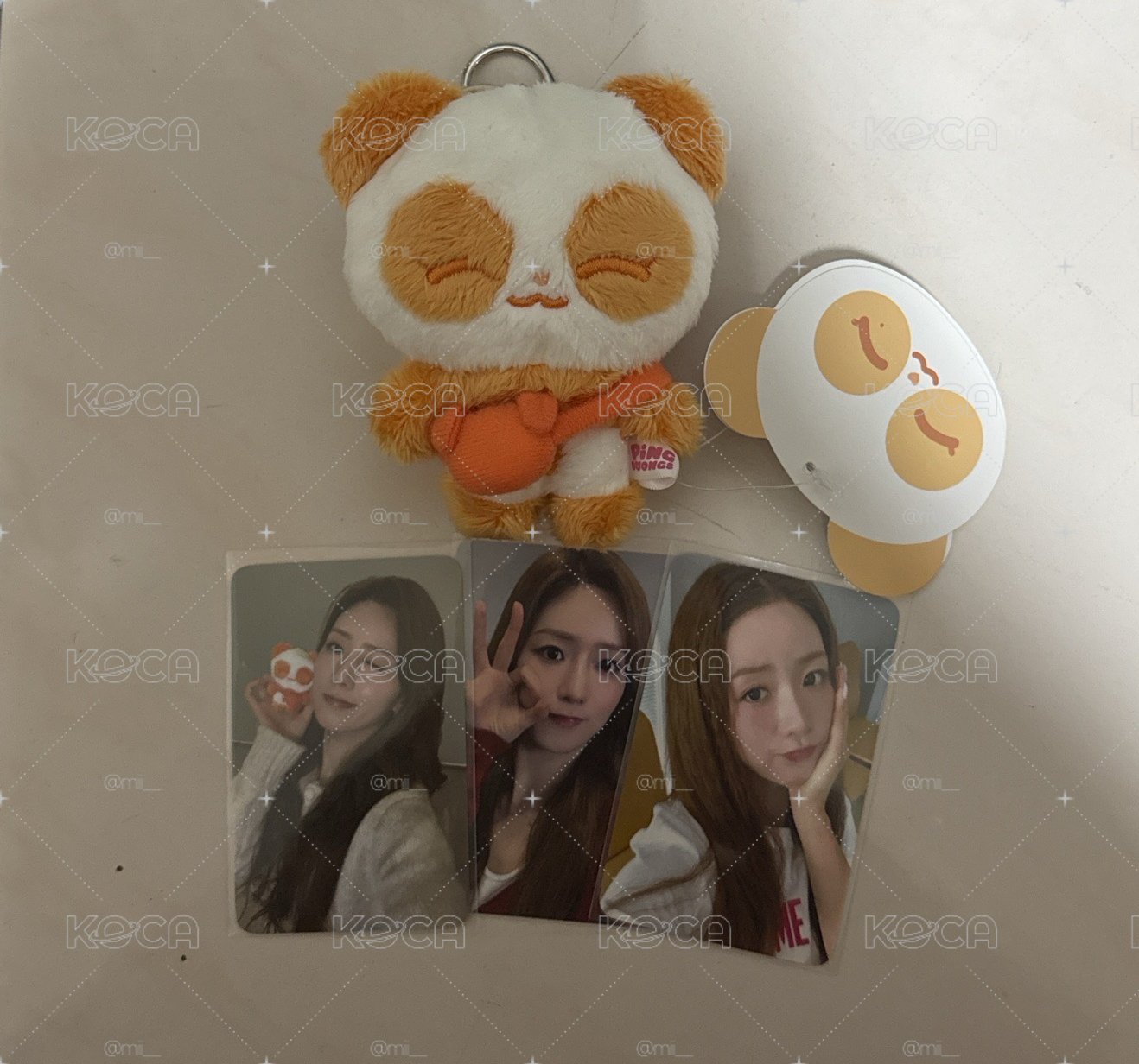 普美小卡+普美娃娃盤出