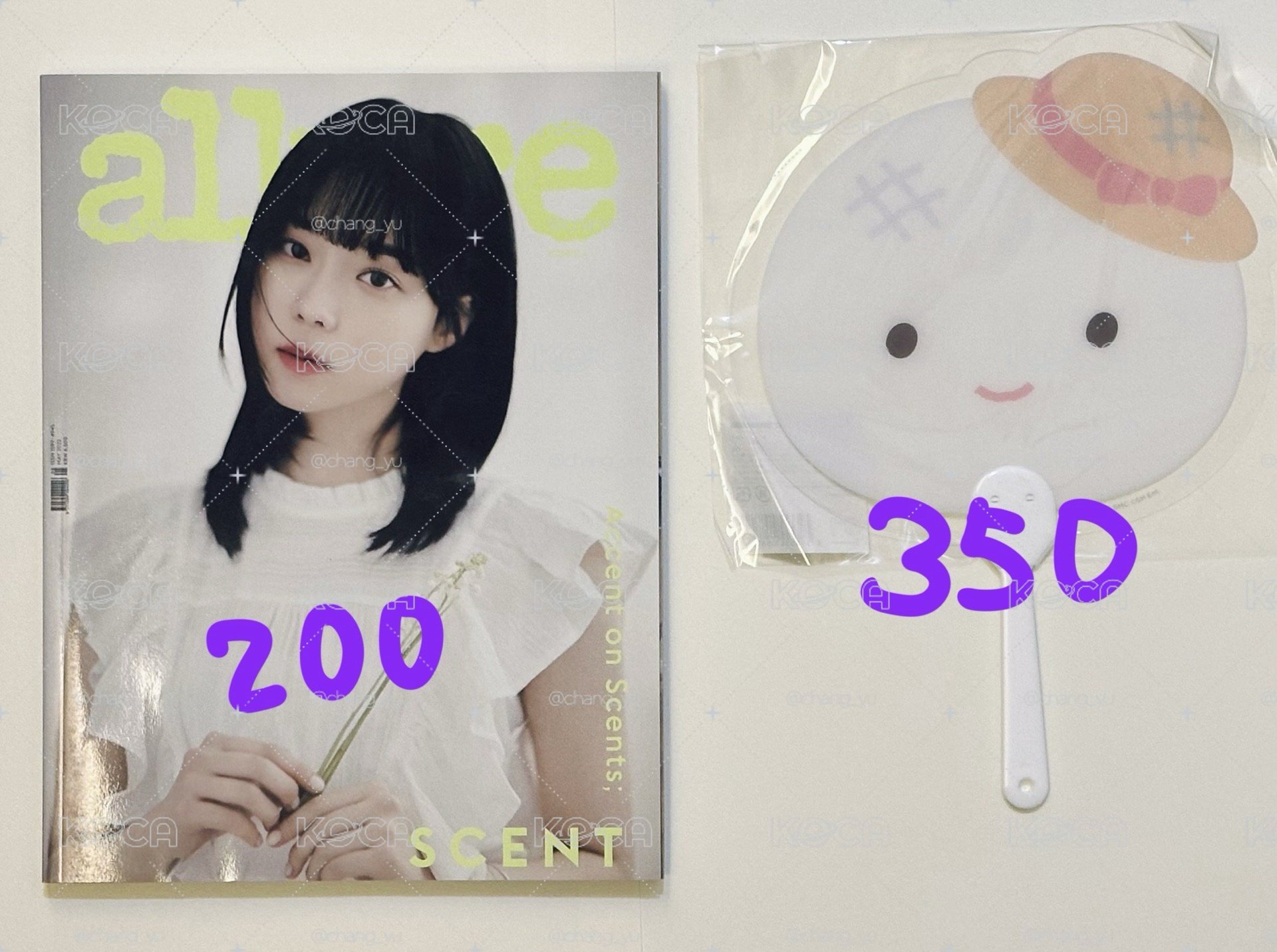 冬盤