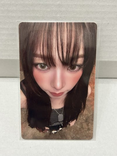 ppmq預售中背柚